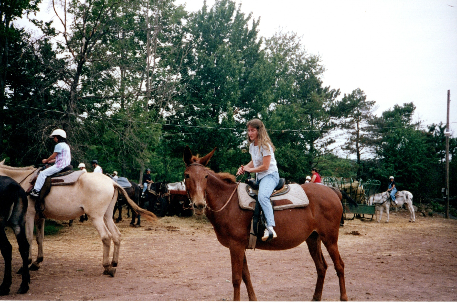 ./1997/08 - August/img05172020_218.jpg